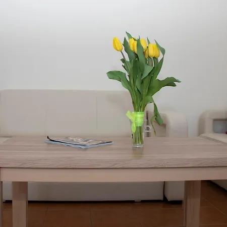 Apartament Z Balkonem I Parkingiem *